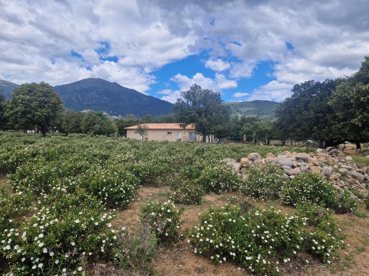 فيلا Domaine U Filanciu - Casa Ghjulia - Centru Di Corsica Moltifao المظهر الخارجي الصورة